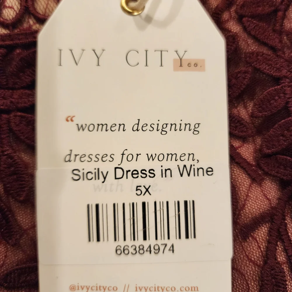 Elegant Wine Lace Dress - Picture 6 of 6